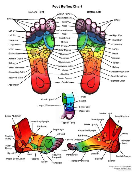 reflexology near me now|traditional chinese reflexology near me.